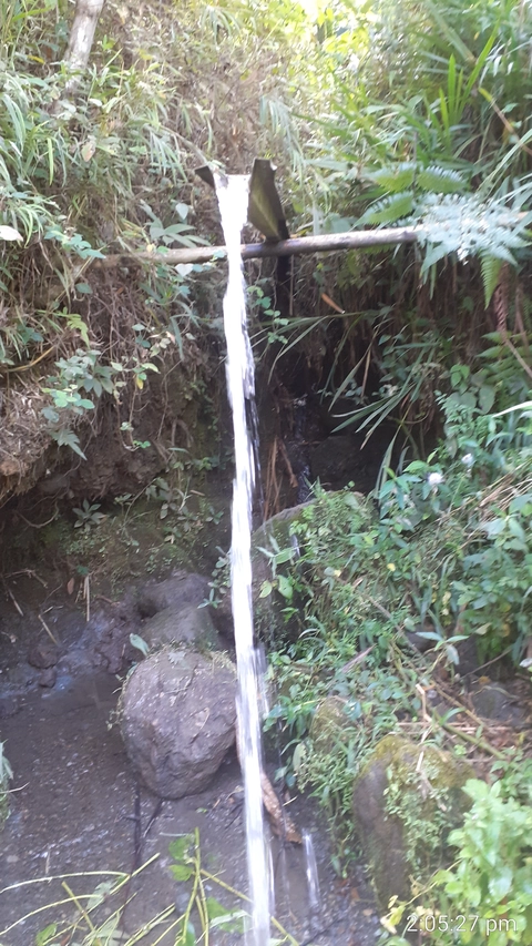 Eqe, nyuäkiqeu äquasitäutqä