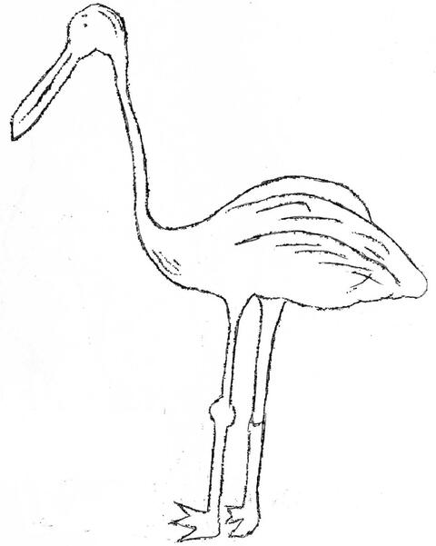 Guä-yŋŋä